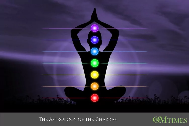 chakra and nervous system